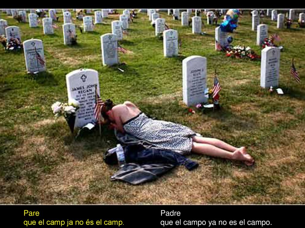 Pare que el camp ja no és el camp. Padre que el campo ya no es el campo.