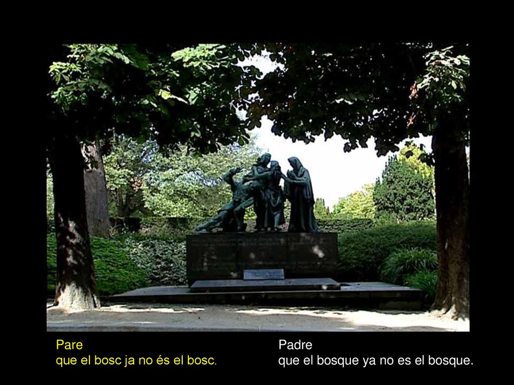 Pare que el bosc ja no és el bosc. Padre que el bosque ya no es el bosque.