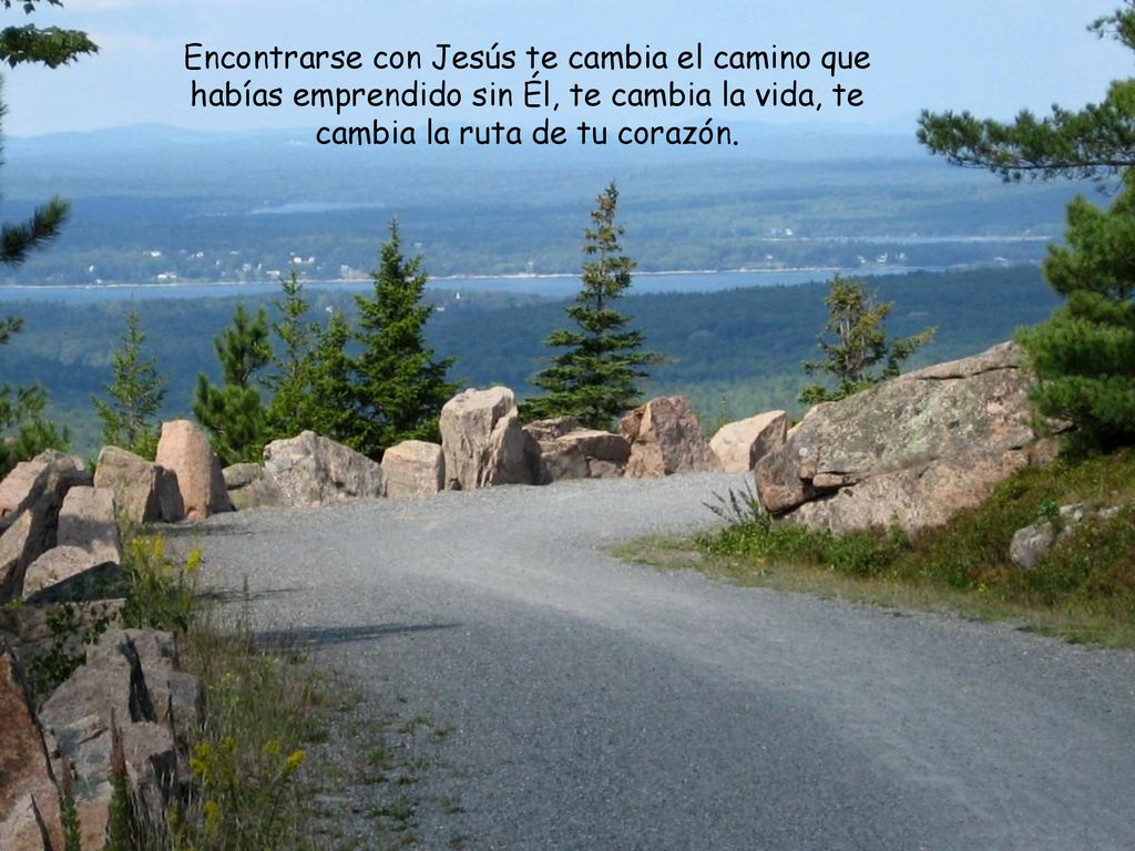 Encontrarse con Jesús te cambia el camino que habías emprendido sin Él, te cambia la vida, te cambia la ruta de tu corazón.