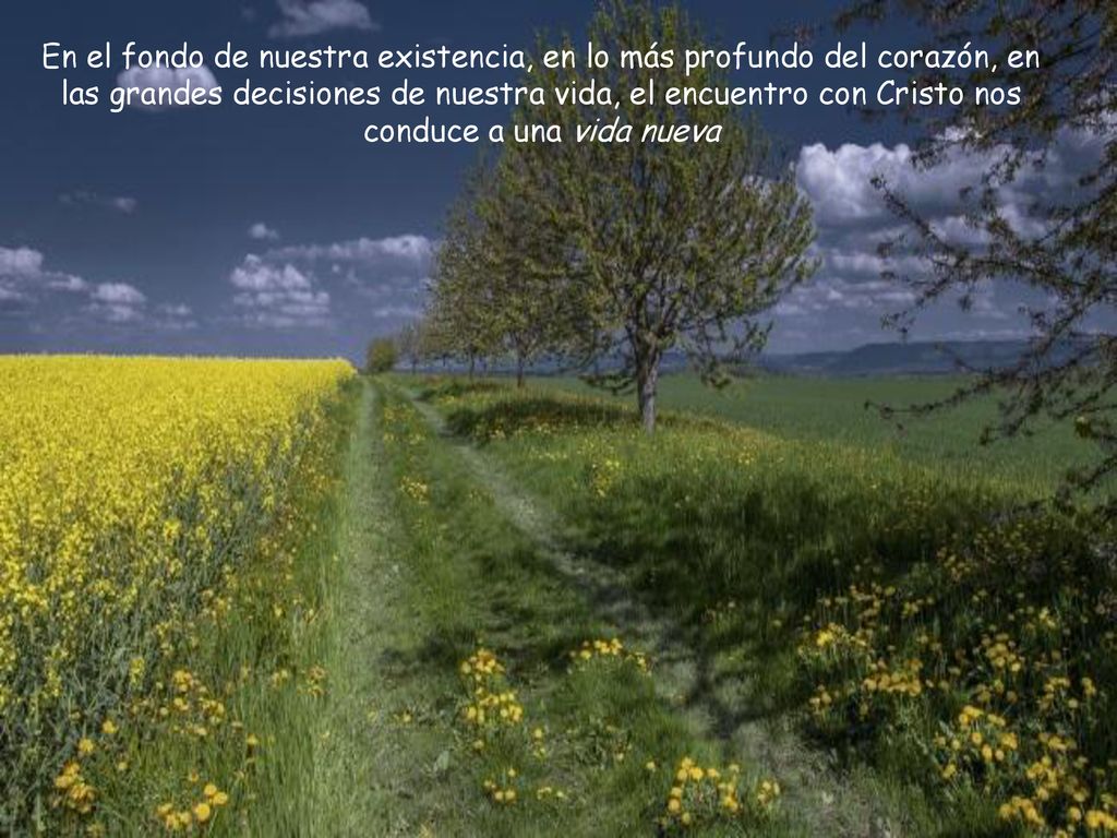 En el fondo de nuestra existencia, en lo más profundo del corazón, en las grandes decisiones de nuestra vida, el encuentro con Cristo nos conduce a una vida nueva