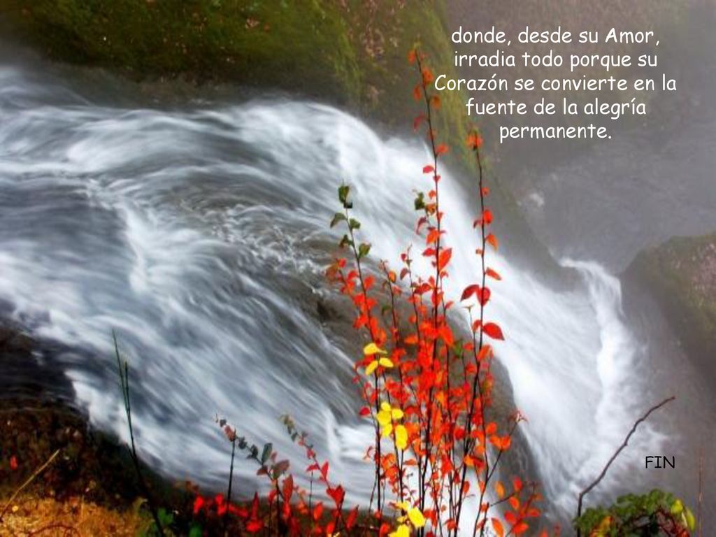 donde, desde su Amor, irradia todo porque su Corazón se convierte en la fuente de la alegría permanente.