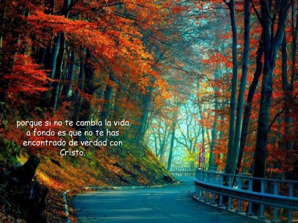 porque si no te cambia la vida a fondo es que no te has encontrado de verdad con Cristo.