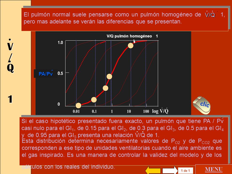 El pulmón normal suele pensarse como un pulmón homogéneo de 1, pero mas adelante se verán las diferencias que se presentan.