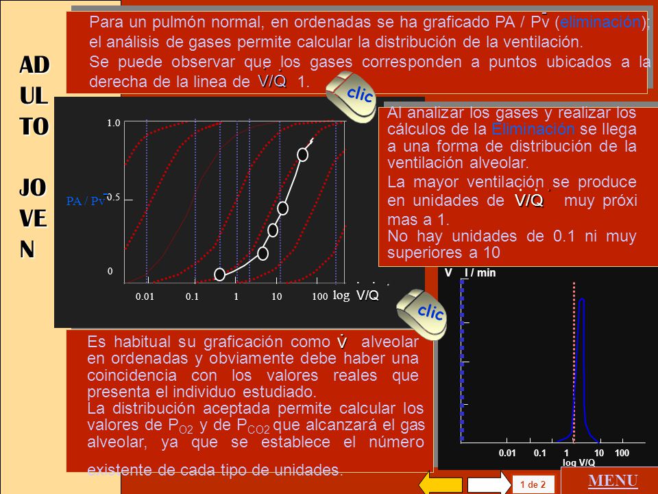 Para un pulmón normal, en ordenadas se ha graficado PA / Pv (eliminación); el análisis de gases permite calcular la distribución de la ventilación.