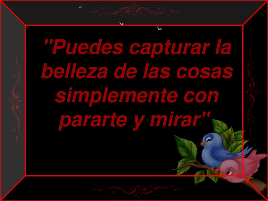 Puedes capturar la belleza de las cosas simplemente con pararte y mirar