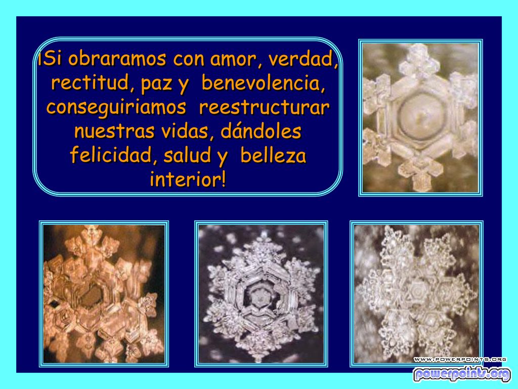¡Si obraramos con amor, verdad, rectitud, paz y benevolencia, conseguiriamos reestructurar nuestras vidas, dándoles felicidad, salud y belleza interior!