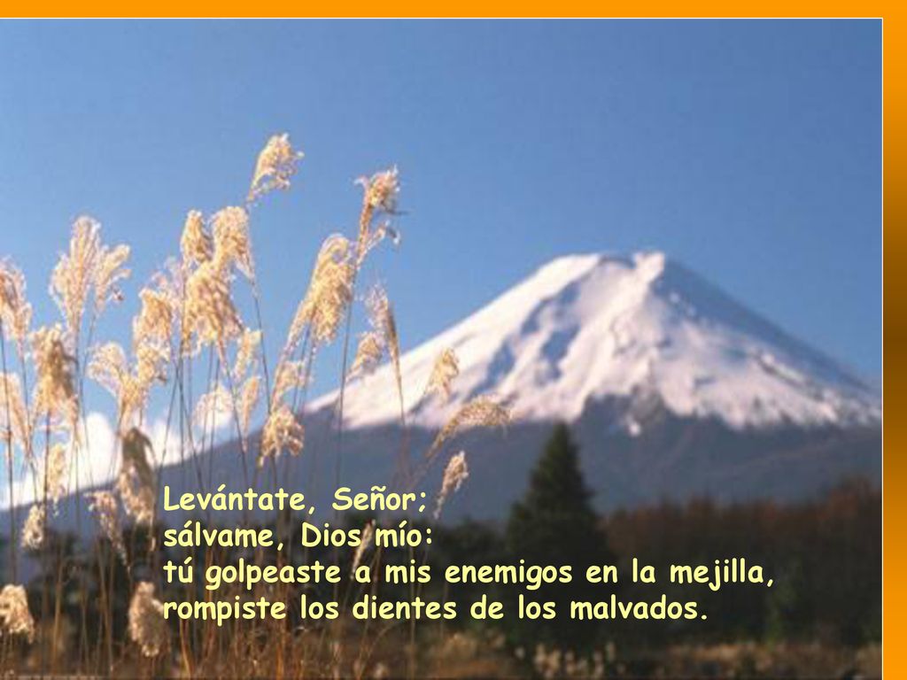 Levántate, Señor; sálvame, Dios mío: tú golpeaste a mis enemigos en la mejilla, rompiste los dientes de los malvados.