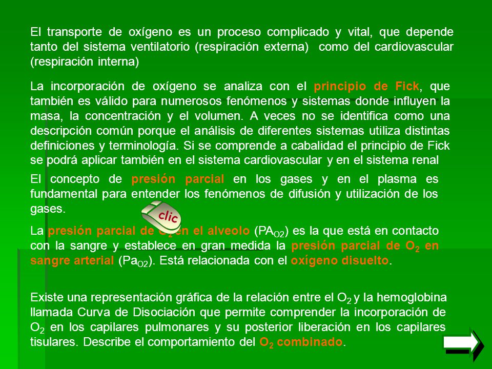El transporte de oxígeno es un proceso complicado y vital, que depende tanto del sistema ventilatorio (respiración externa) como del cardiovascular (respiración interna)