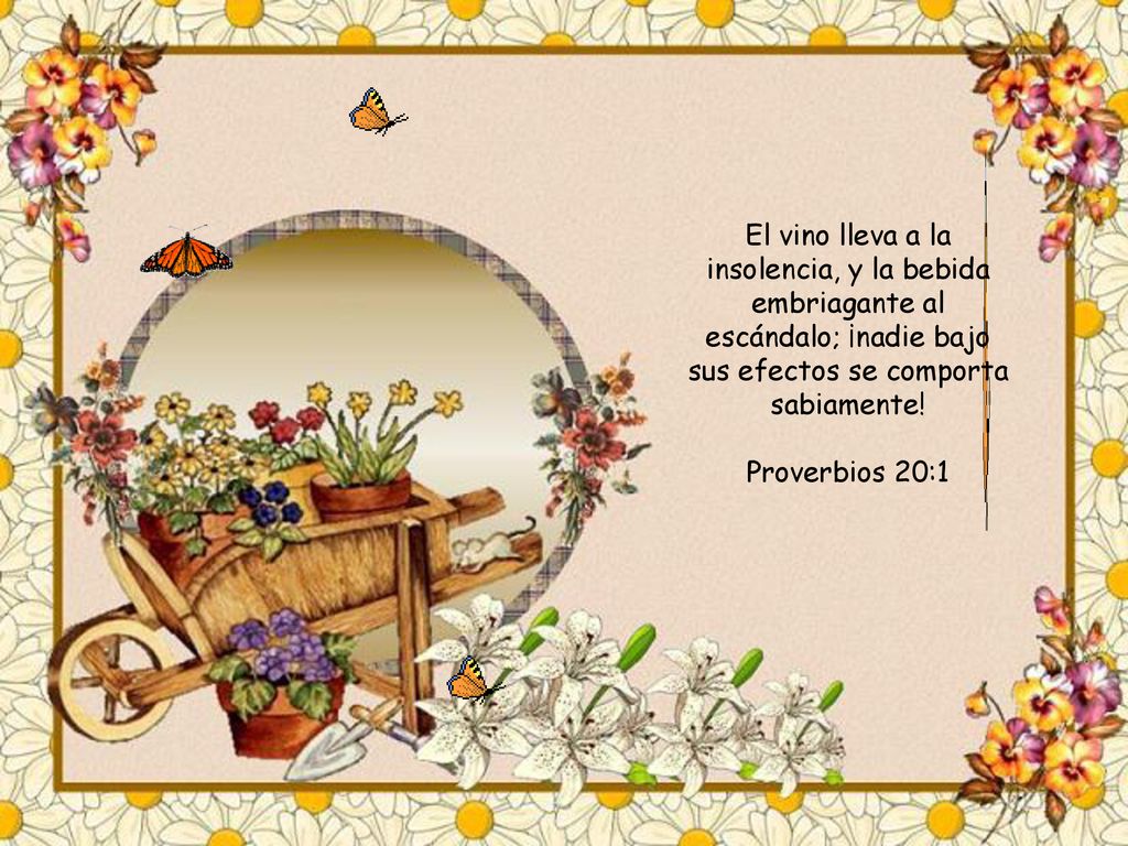El vino lleva a la insolencia, y la bebida embriagante al escándalo; ¡nadie bajo sus efectos se comporta sabiamente!