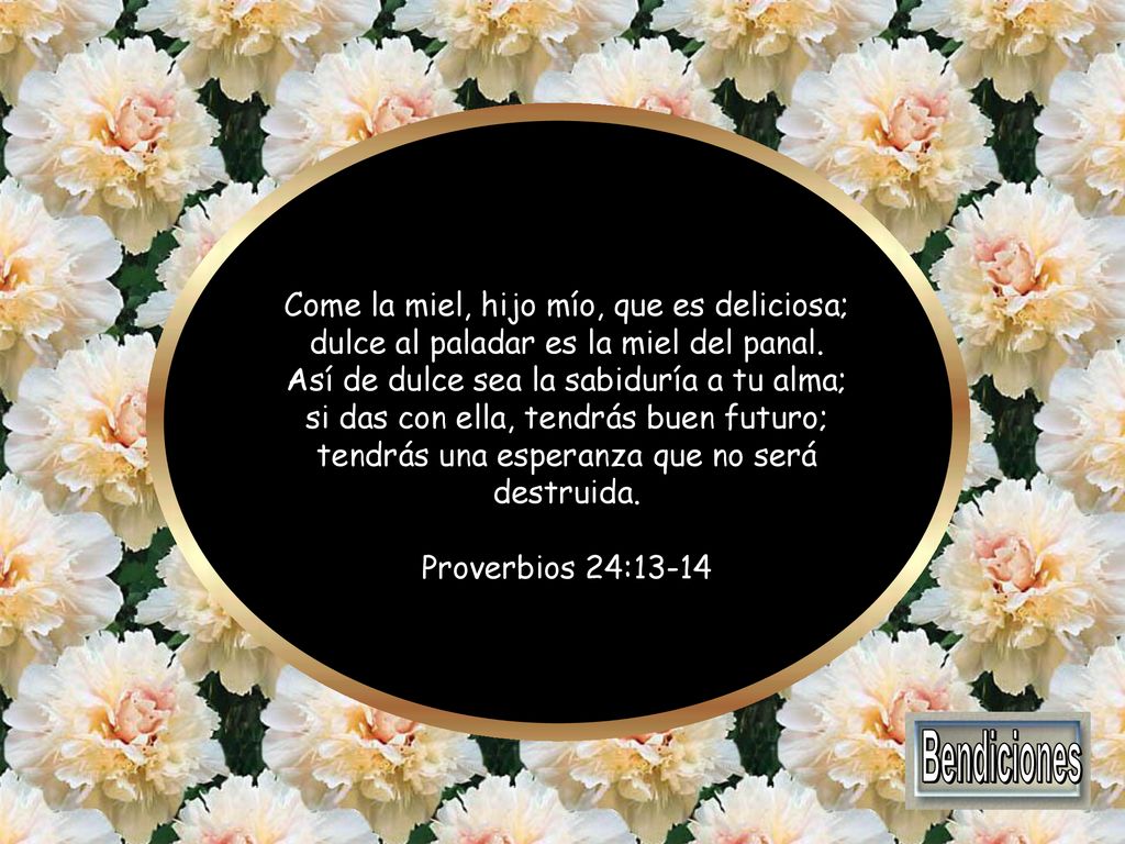 Come la miel, hijo mío, que es deliciosa; dulce al paladar es la miel del panal. Así de dulce sea la sabiduría a tu alma; si das con ella, tendrás buen futuro; tendrás una esperanza que no será destruida.