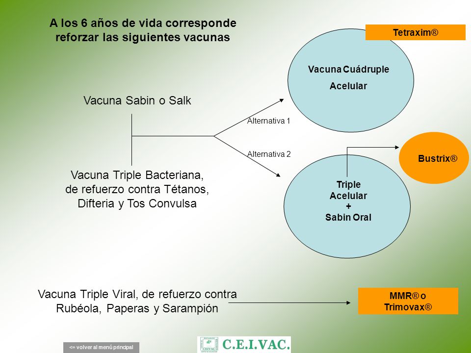 A los 6 años de vida corresponde reforzar las siguientes vacunas
