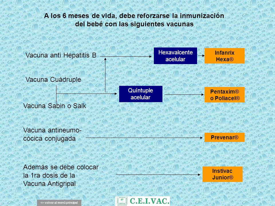 A los 6 meses de vida, debe reforzarse la inmunización