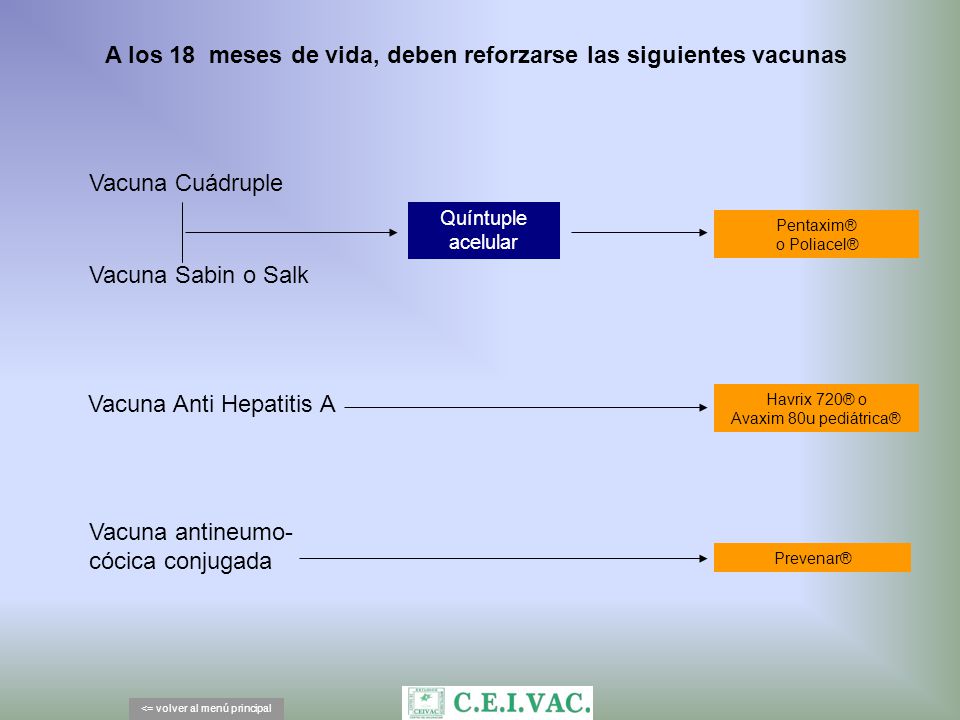 A los 18 meses de vida, deben reforzarse las siguientes vacunas