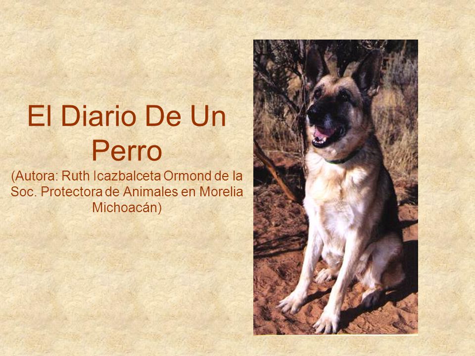 El Diario De Un Perro (Autora: Ruth Icazbalceta Ormond de la Soc