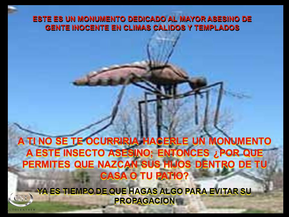 YA ES TIEMPO DE QUE HAGAS ALGO PARA EVITAR SU PROPAGACION