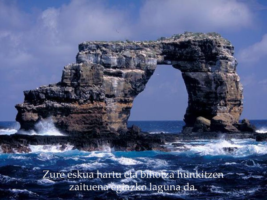 Zure eskua hartu eta bihotza hunkitzen zaituena egiazko laguna da.