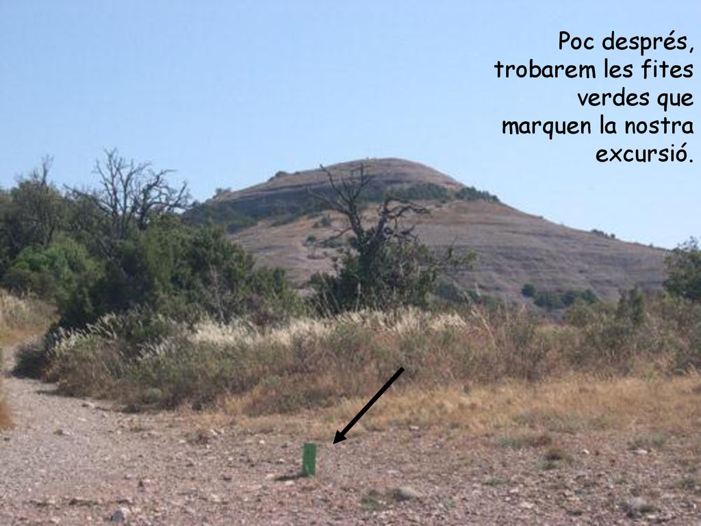 Poc després, trobarem les fites verdes que marquen la nostra excursió.