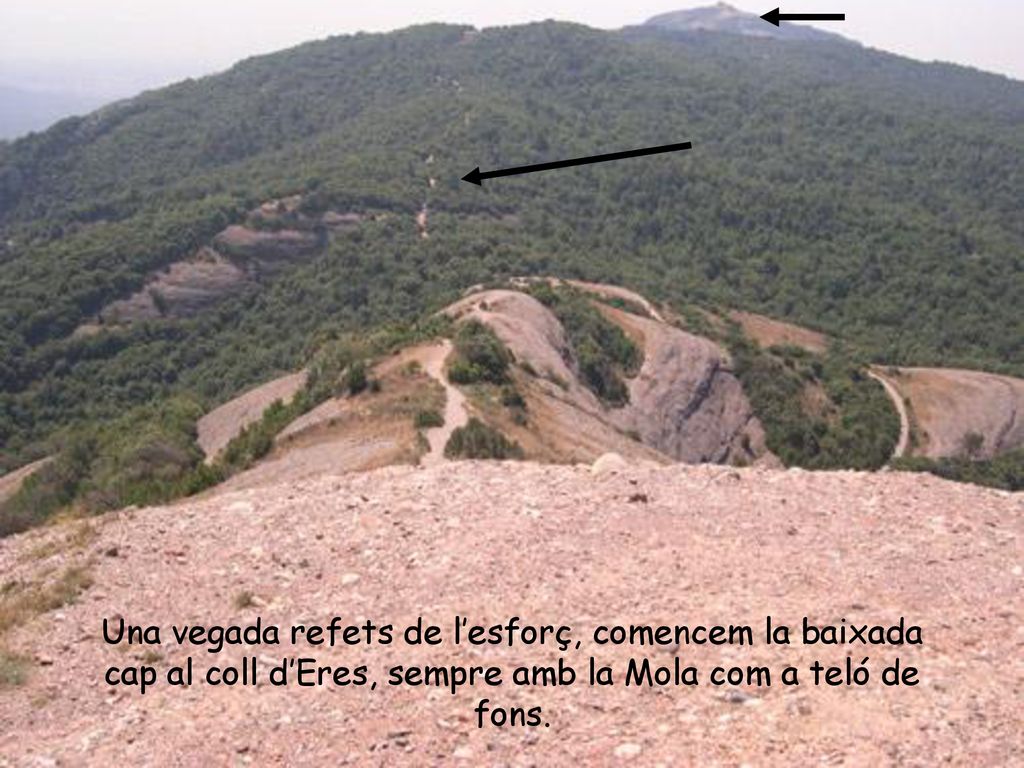 Una vegada refets de l’esforç, comencem la baixada cap al coll d’Eres, sempre amb la Mola com a teló de fons.