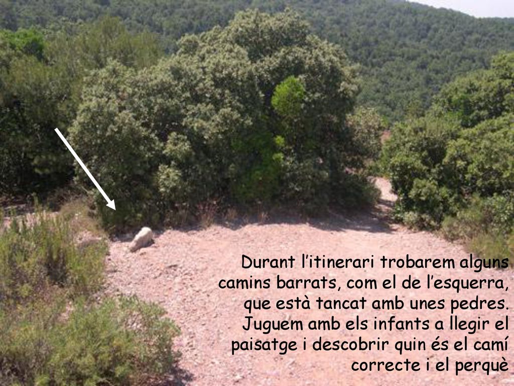 Durant l’itinerari trobarem alguns camins barrats, com el de l’esquerra, que està tancat amb unes pedres.