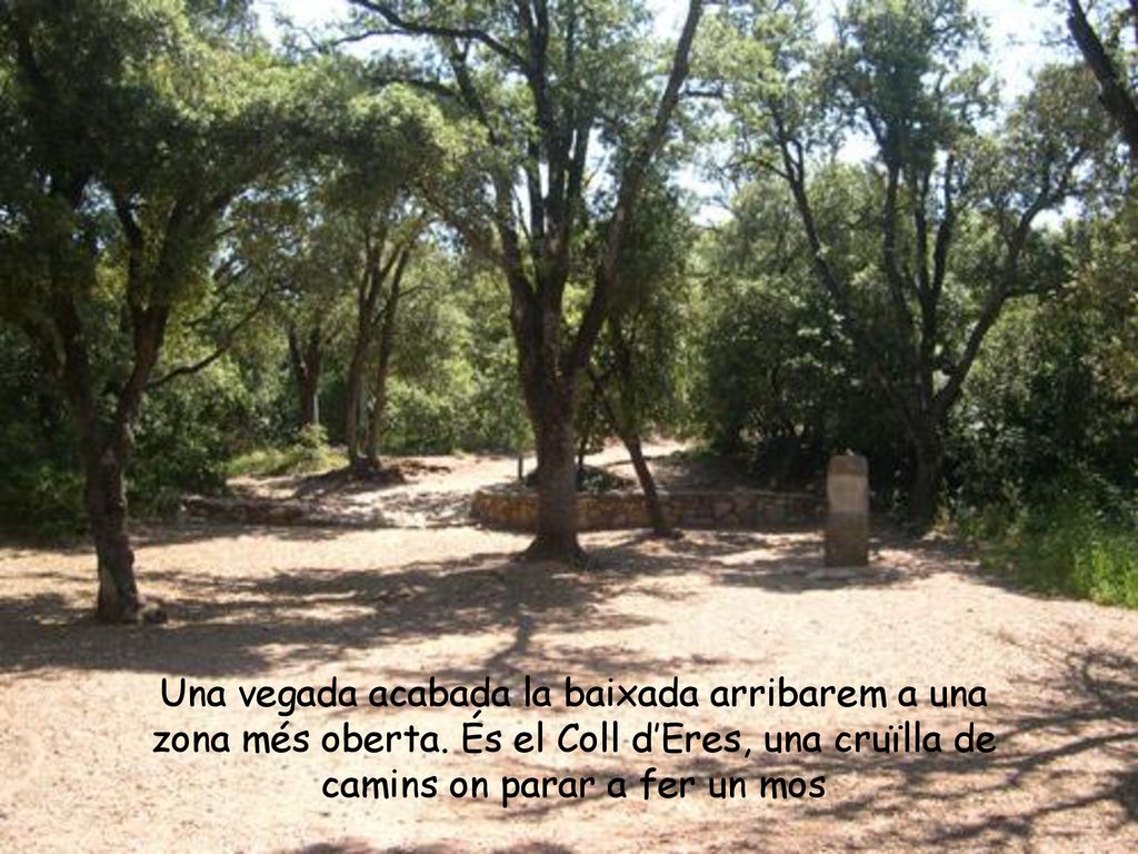 Una vegada acabada la baixada arribarem a una zona més oberta