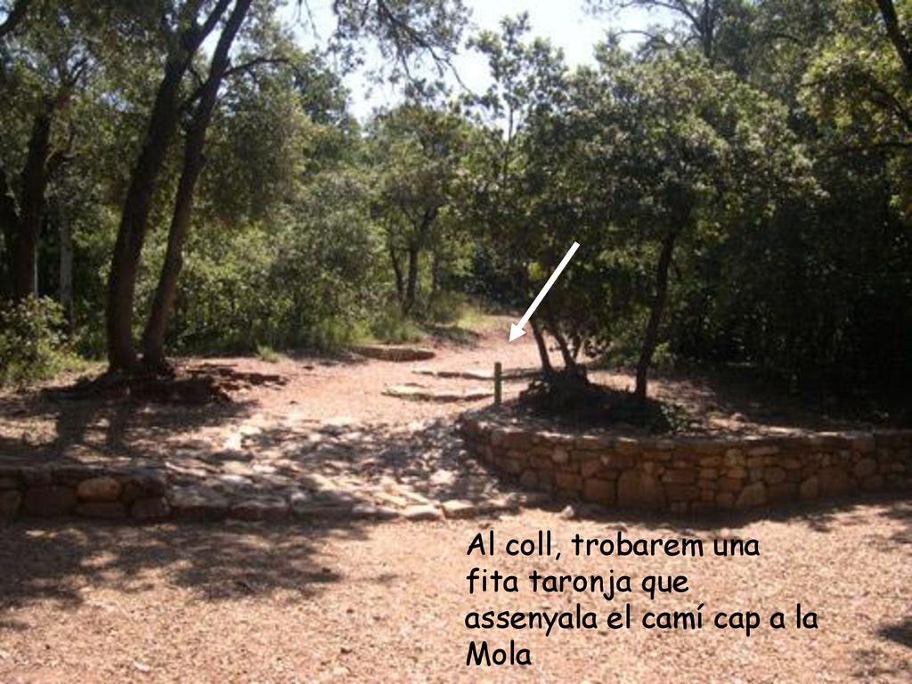 Al coll, trobarem una fita taronja que assenyala el camí cap a la Mola