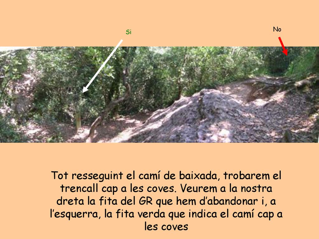 Tot resseguint el camí de baixada, trobarem el trencall cap a les coves. Veurem a la nostra dreta la fita del GR que hem d’abandonar i, a l’esquerra, la fita verda que indica el camí cap a les coves