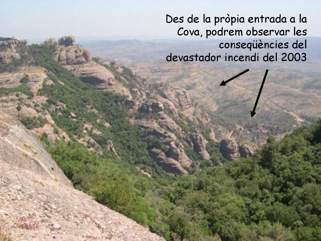 Des de la pròpia entrada a la Cova, podrem observar les conseqüències del devastador incendi del 2003