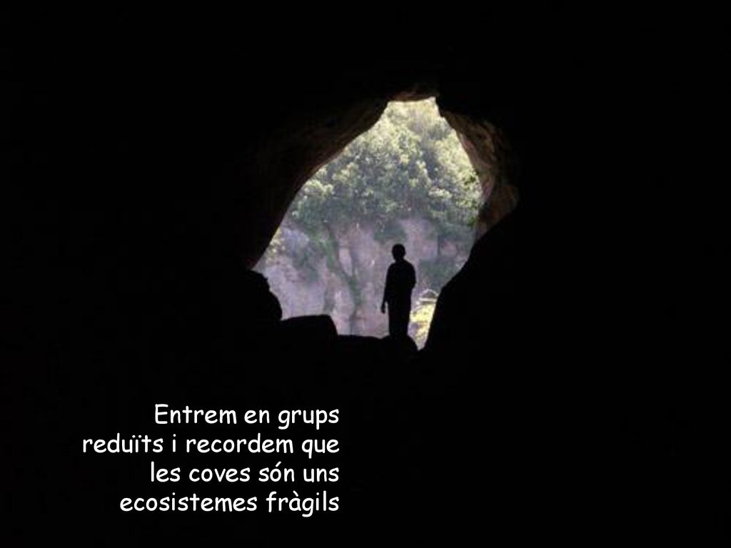 Entrem en grups reduïts i recordem que les coves són uns ecosistemes fràgils