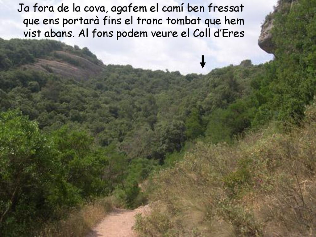 Ja fora de la cova, agafem el camí ben fressat que ens portarà fins el tronc tombat que hem vist abans.