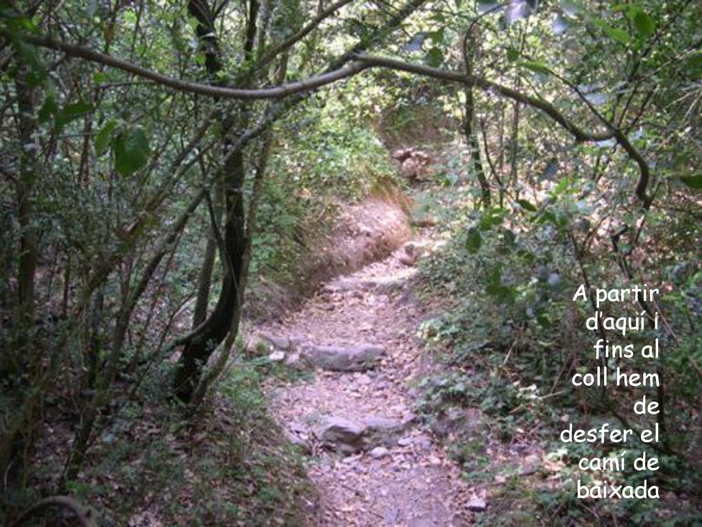 A partir d’aquí i fins al coll hem de desfer el camí de baixada