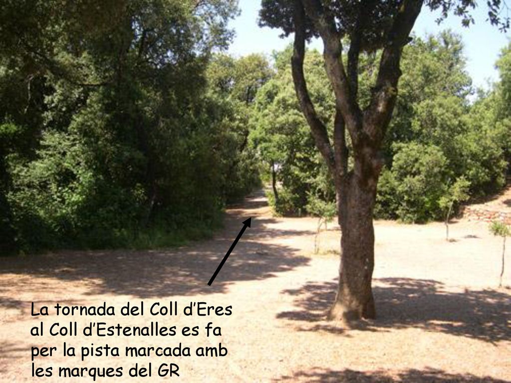 La tornada del Coll d’Eres al Coll d’Estenalles es fa per la pista marcada amb les marques del GR