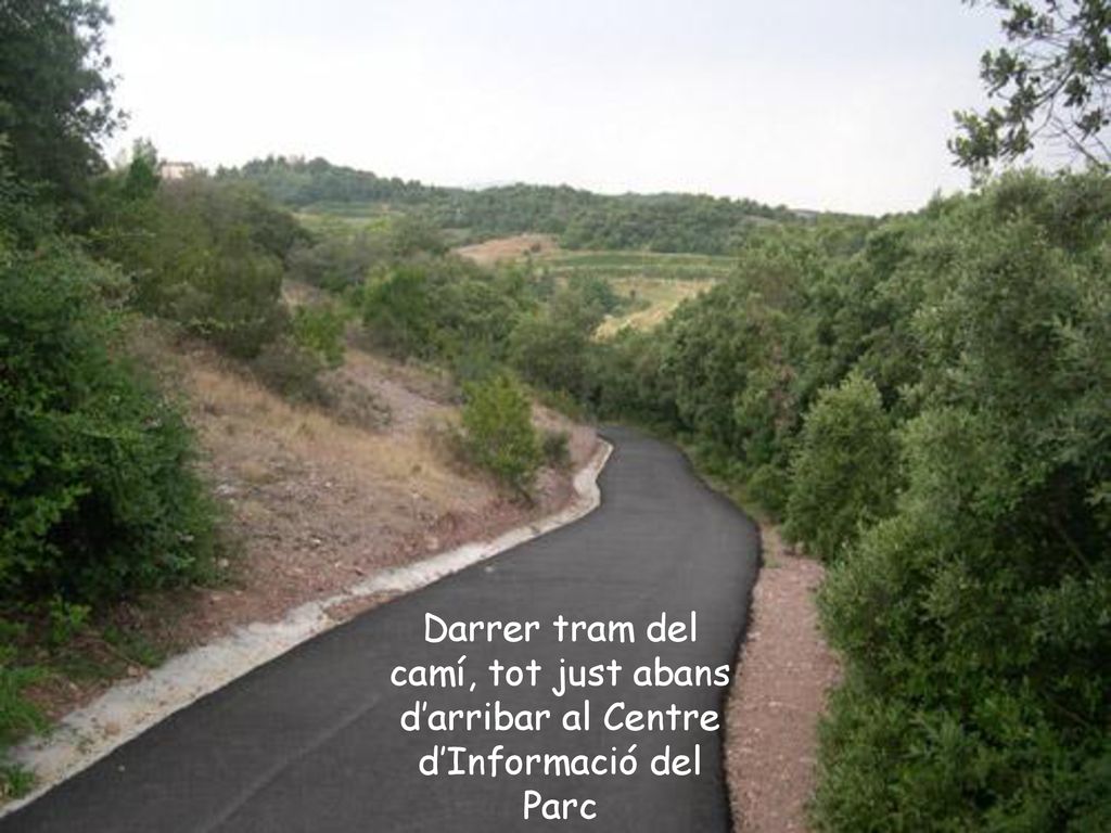 Darrer tram del camí, tot just abans d’arribar al Centre d’Informació del Parc