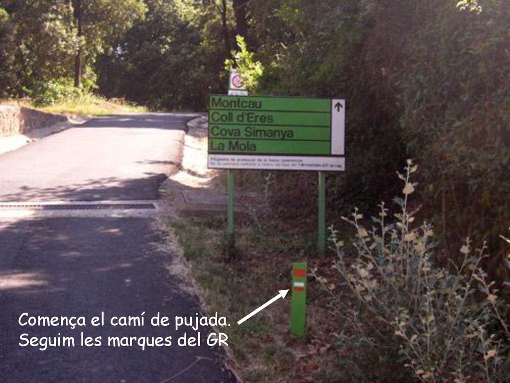Comença el camí de pujada. Seguim les marques del GR