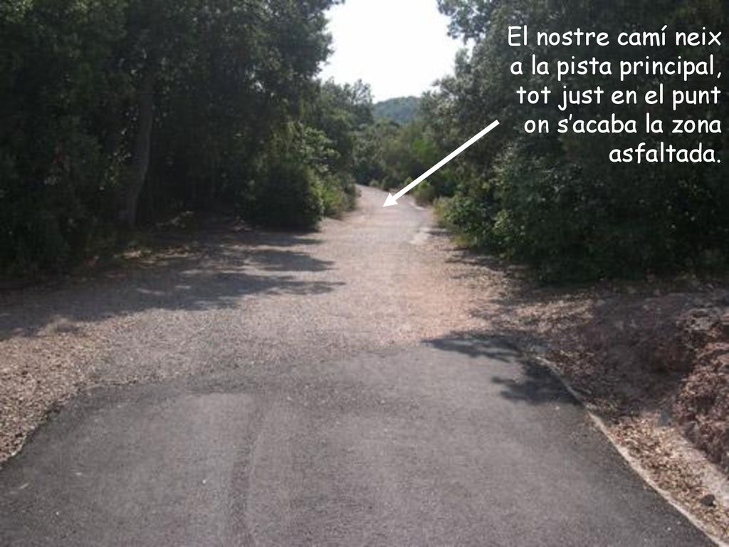 El nostre camí neix a la pista principal, tot just en el punt on s’acaba la zona asfaltada.