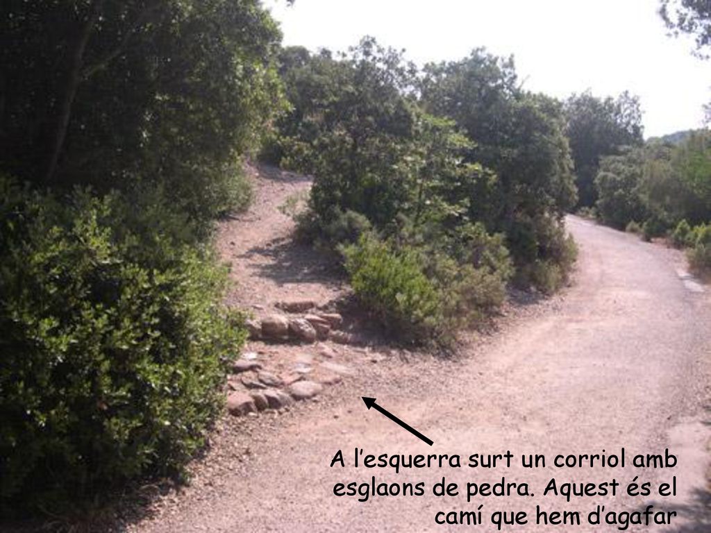 A l’esquerra surt un corriol amb esglaons de pedra