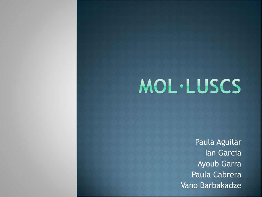 Paula Aguilar Ian Garcia Ayoub Garra Paula Cabrera Vano Barbakadze