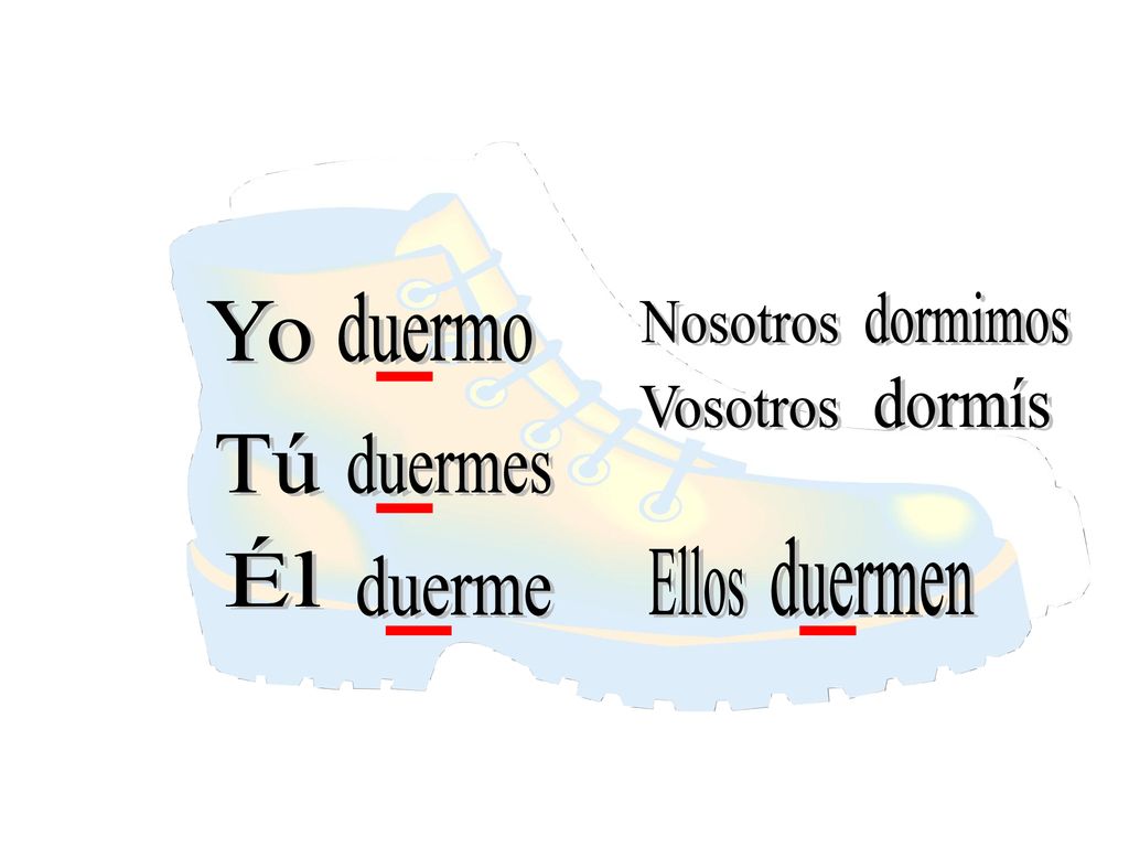 duermo dormimos Yo Nosotros dormís Vosotros Tú duermes Él duermen Ellos duerme