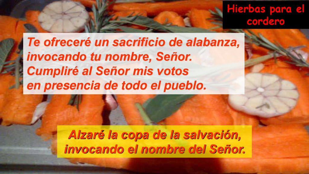 Alzaré la copa de la salvación, invocando el nombre del Señor.
