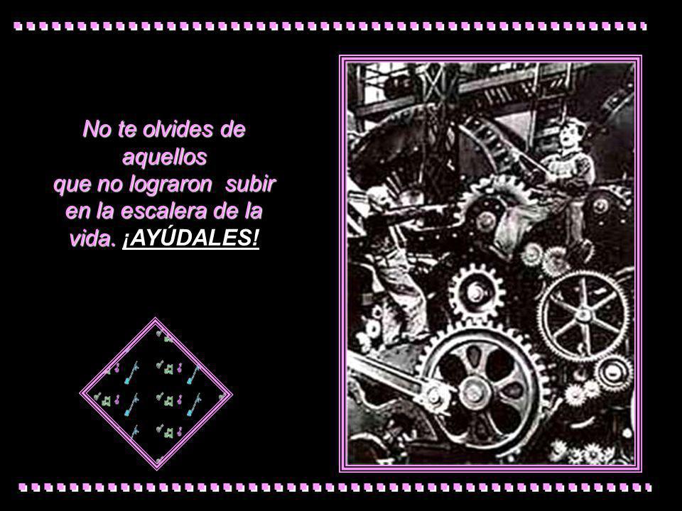 No te olvides de aquellos que no lograron subir en la escalera de la vida. ¡AYÚDALES!