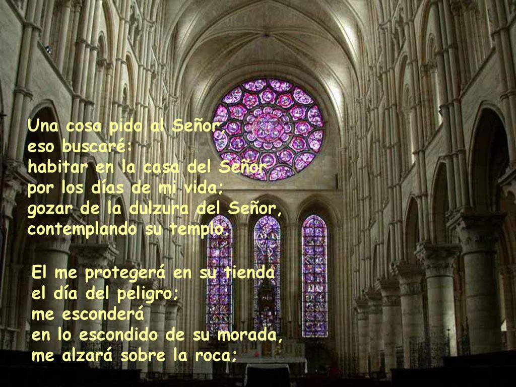 Una cosa pido al Señor, eso buscaré: habitar en la casa del Señor por los días de mi vida; gozar de la dulzura del Señor, contemplando su templo.
