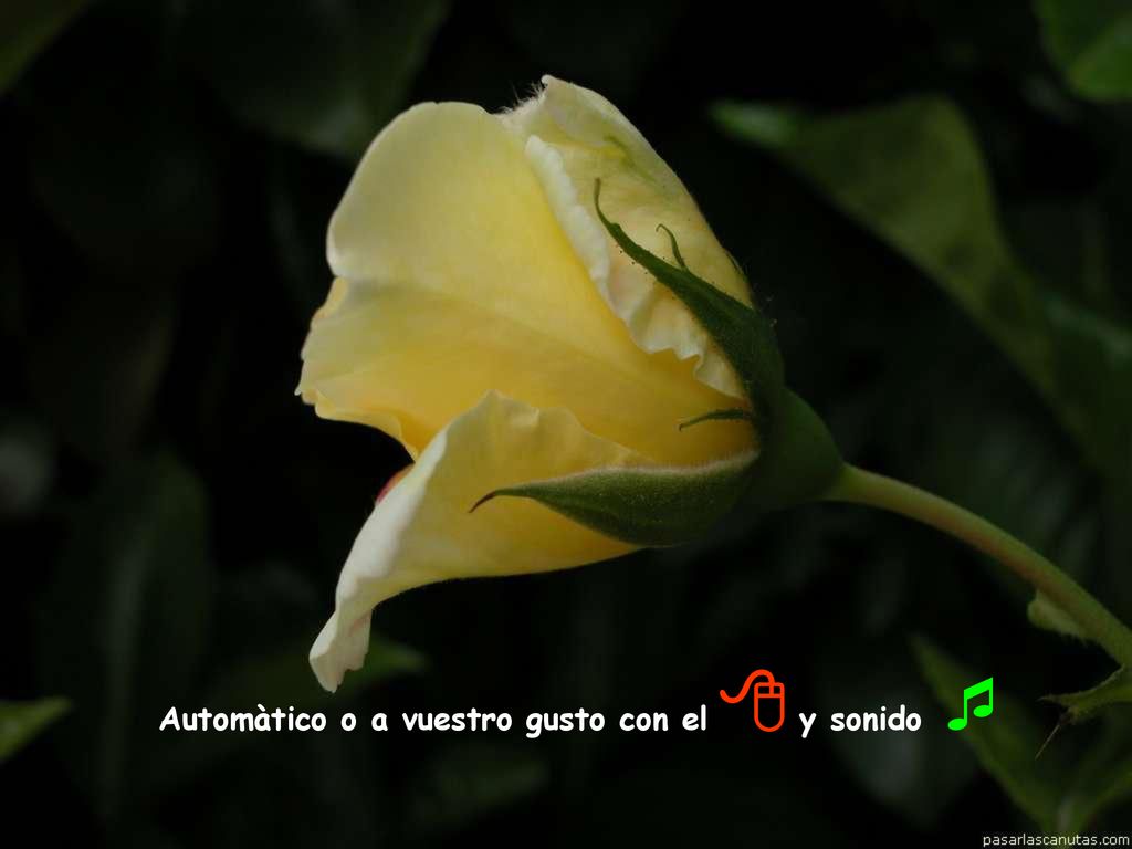 Automàtico o a vuestro gusto con el 8 y sonido ¯
