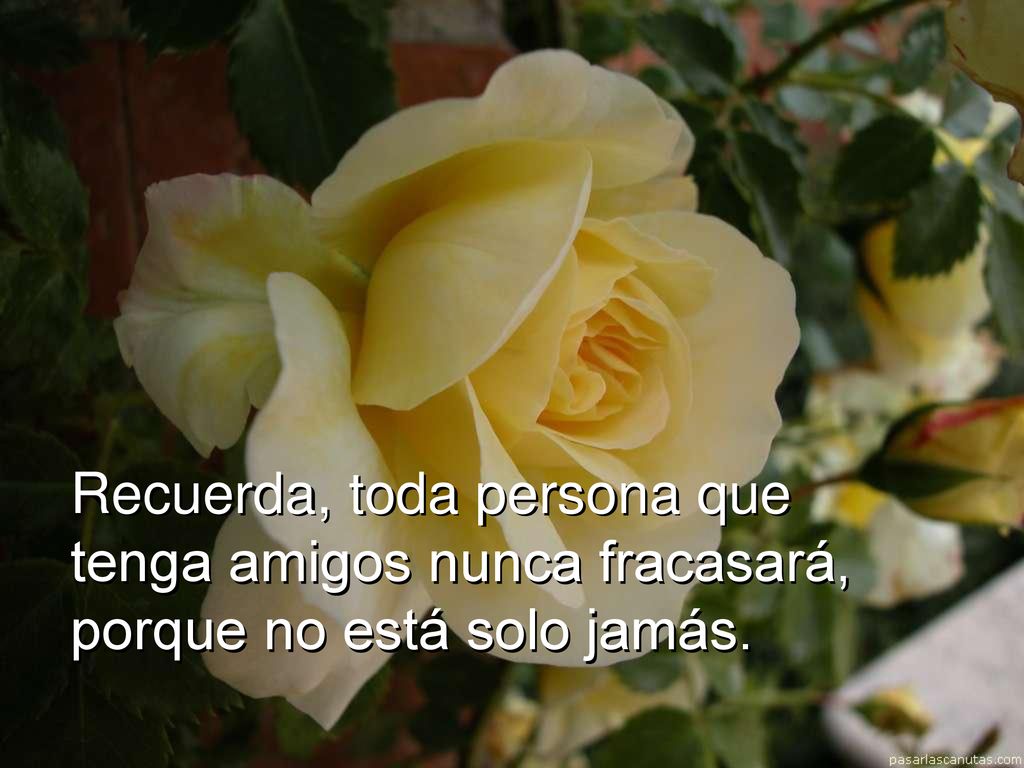Recuerda, toda persona que tenga amigos nunca fracasará, porque no está solo jamás.