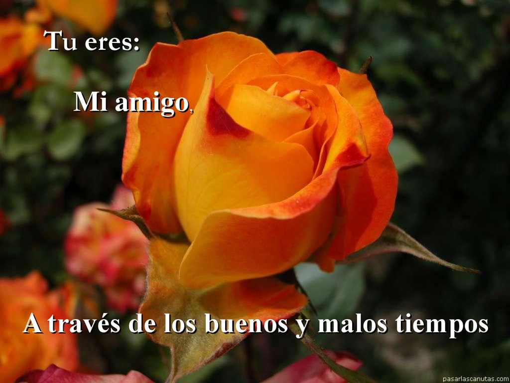 Tu eres: Mi amigo, A través de los buenos y malos tiempos