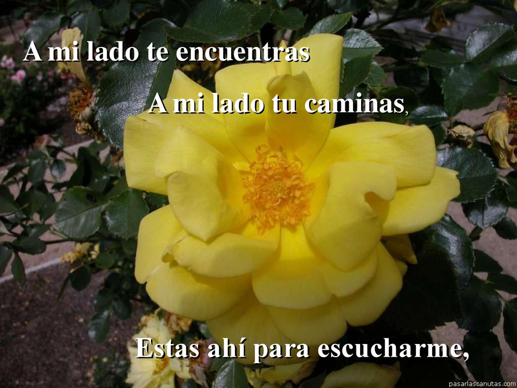 A mi lado te encuentras A mi lado tu caminas,