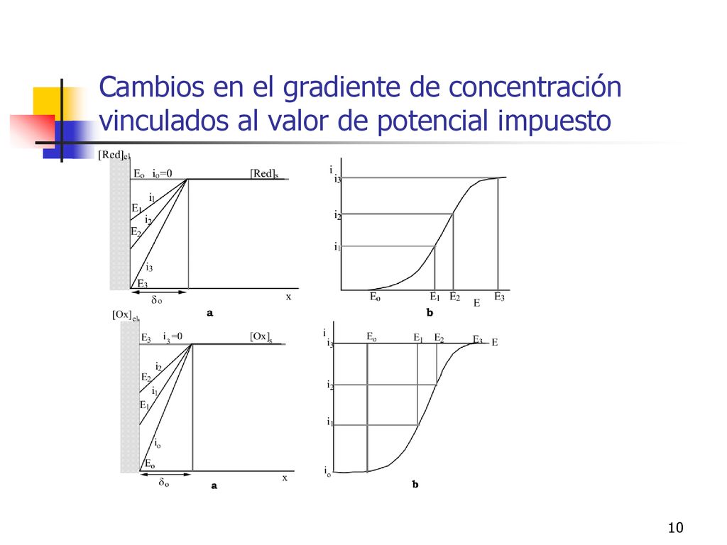 Cambios en el gradiente de concentración vinculados al valor de potencial impuesto