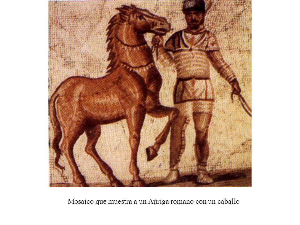 Mosaico que muestra a un Aúriga romano con un caballo