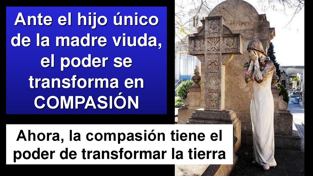 Ahora, la compasión tiene el poder de transformar la tierra
