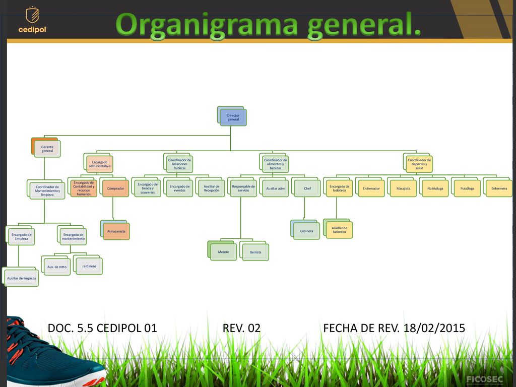 Organigrama general. Director general. Gerente general. Coordinador de Mantenimiento y limpieza. Encargado de Limpieza.