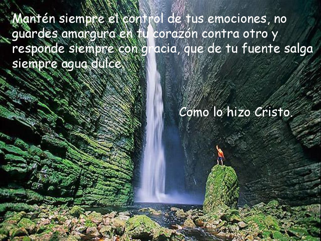 Mantén siempre el control de tus emociones, no guardes amargura en tu corazón contra otro y responde siempre con gracia, que de tu fuente salga siempre agua dulce.