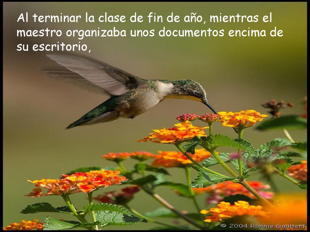 Al terminar la clase de fin de año, mientras el maestro organizaba unos documentos encima de su escritorio,